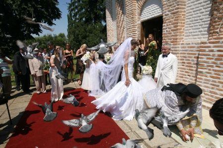 Porumbei nunta senzationali! - Pret | Preturi Porumbei nunta senzationali!
