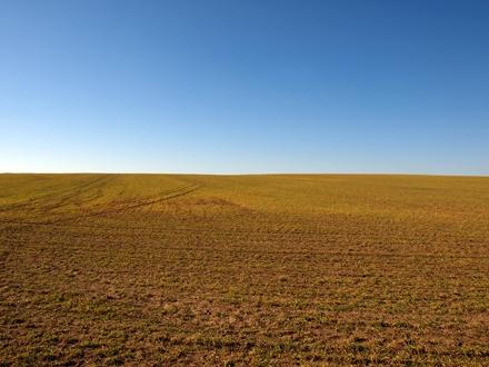 CUMPAR Teren agricol COMPACT de la 5 Ha - la 30 Ha - Pret | Preturi CUMPAR Teren agricol COMPACT de la 5 Ha - la 30 Ha