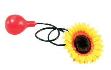 Floarea-soarelui stropitoare - Pret | Preturi Floarea-soarelui stropitoare