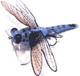Vobler Libelula Dragon Fly Poper DF06 70 mm, 6,0 gr Albastru River2Sea - Pret | Preturi Vobler Libelula Dragon Fly Poper DF06 70 mm, 6,0 gr Albastru River2Sea