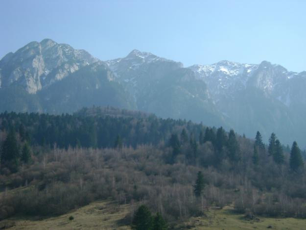 vand teren brasov,zarnesti,plaiul foii - Pret | Preturi vand teren brasov,zarnesti,plaiul foii