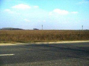 Buftea Crevedia teren industrial 12,5 ha Oferta!!! - Pret | Preturi Buftea Crevedia teren industrial 12,5 ha Oferta!!!