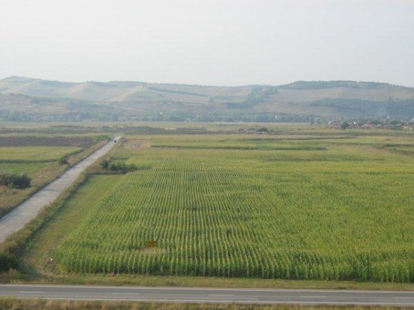 Teren agricol Dambovita, Targoviste - Pret | Preturi Teren agricol Dambovita, Targoviste