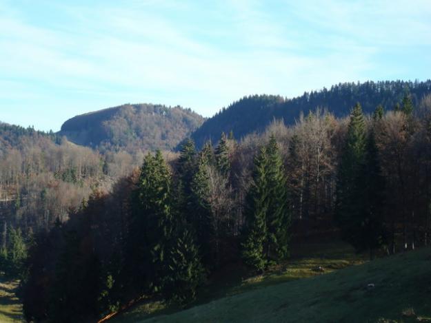 Pestara Fundatica, Bran, Brasov - Pret | Preturi Pestara Fundatica, Bran, Brasov