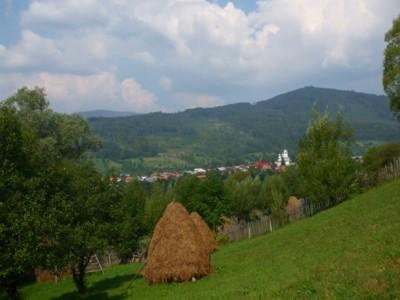 Vand teren pt casa de vacanta in Valea Doftanei - Pret | Preturi Vand teren pt casa de vacanta in Valea Doftanei