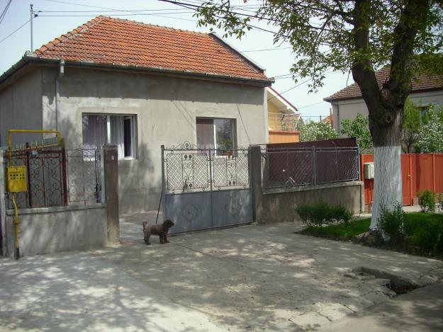 CASA PENTRU 2 FAMILII TIMISOARA - Pret | Preturi CASA PENTRU 2 FAMILII TIMISOARA