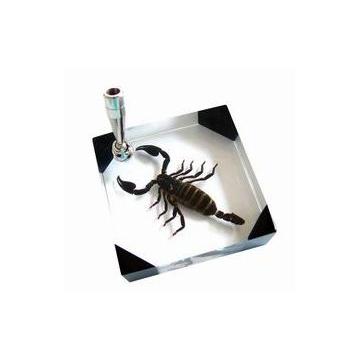 Decoratiune birou - Pret | Preturi Decoratiune birou