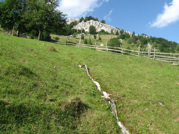 vand teren in zona bran - Pret | Preturi vand teren in zona bran