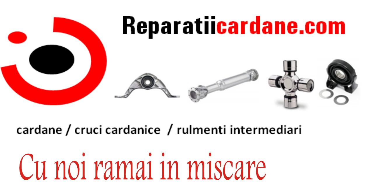 Rulmenti cardan Cruci cardan Reparatii cardan - Pret | Preturi Rulmenti cardan Cruci cardan Reparatii cardan