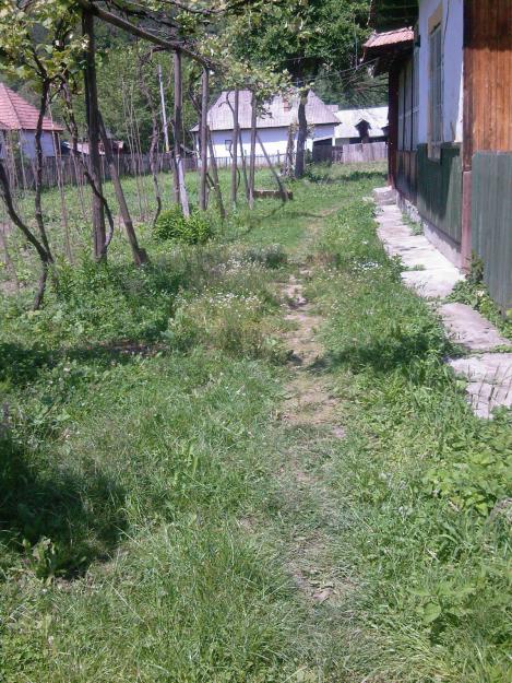 vand casa in HARJA, COMUNA OITUZ - Pret | Preturi vand casa in HARJA, COMUNA OITUZ