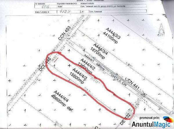 Vand Teren Tartasesti 15500mp, deschidere 49.64 - Pret | Preturi Vand Teren Tartasesti 15500mp, deschidere 49.64