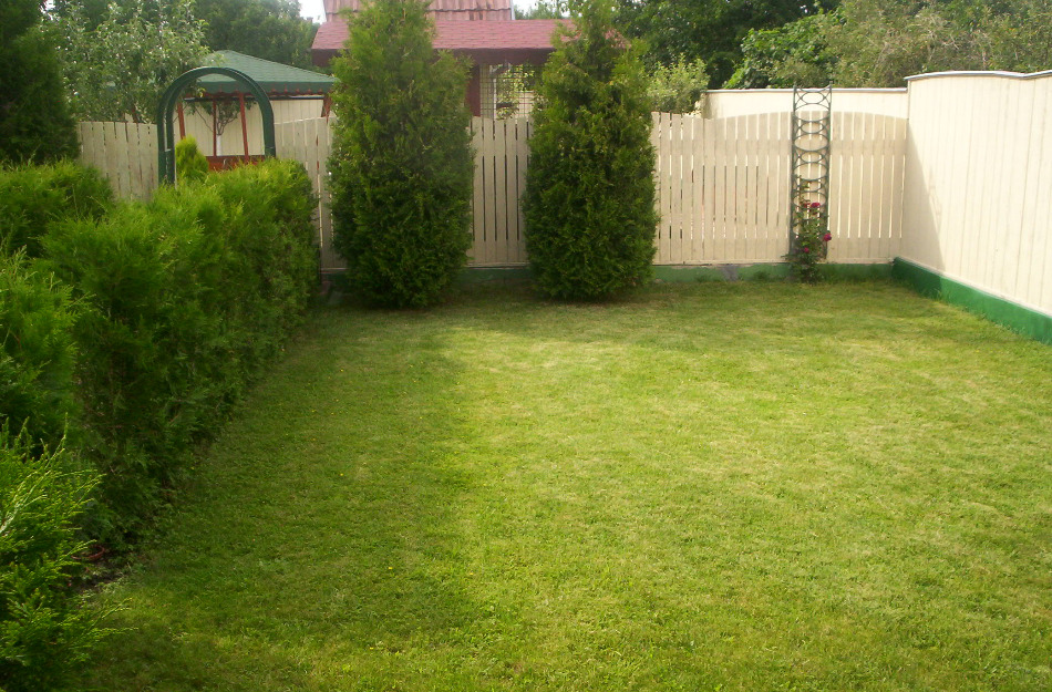 Vand casa la curte cu livada,mansarda,piscina - Pret | Preturi Vand casa la curte cu livada,mansarda,piscina