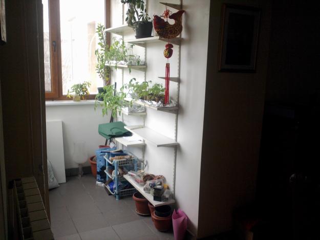1364 Cristian Chance ofera spre vanzare - Pret | Preturi 1364 Cristian Chance ofera spre vanzare