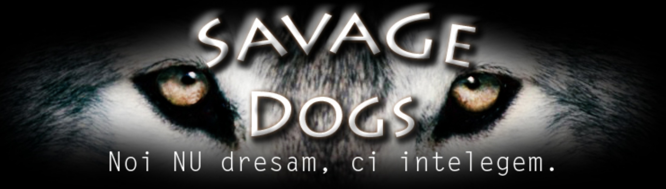 Dresaj canin - Psihologie comportament canin - Pret | Preturi Dresaj canin - Psihologie comportament canin