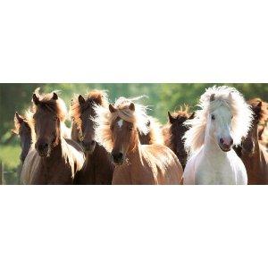 Puzzle Ravensburger 1000 Wild horses - Pret | Preturi Puzzle Ravensburger 1000 Wild horses