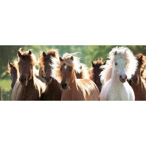 Puzzle Ravensburger 1000 Wild horses - Pret | Preturi Puzzle Ravensburger 1000 Wild horses