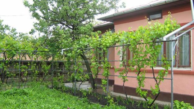 URGENT PARTICULAR VAND/SCHIMB CASA+TEREN 1300 MP MAXENU-BUZAU - Pret | Preturi URGENT PARTICULAR VAND/SCHIMB CASA+TEREN 1300 MP MAXENU-BUZAU