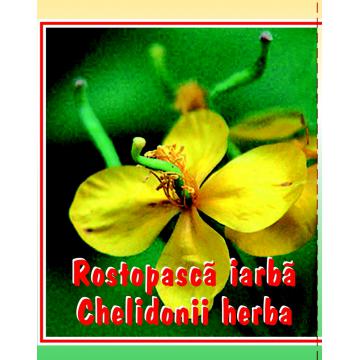 Ceai rostopasca iarba 0,50 g/cutie - Pret | Preturi Ceai rostopasca iarba 0,50 g/cutie