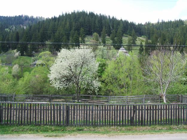 Vand casa in CEAHLAU - la 6 km de statiunea Durau - Pret | Preturi Vand casa in CEAHLAU - la 6 km de statiunea Durau