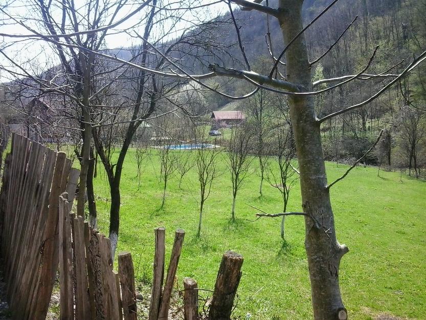 Vand teren intravilan-bun pentru cabane - Pret | Preturi Vand teren intravilan-bun pentru cabane