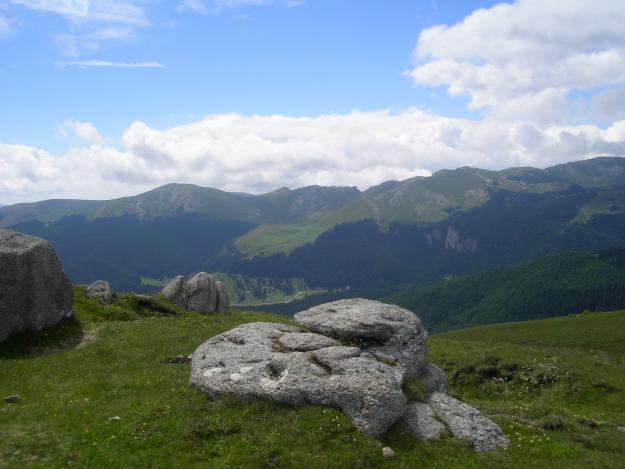 HAINE NOI LA CELE MAI MICI PRETURI - Pret | Preturi HAINE NOI LA CELE MAI MICI PRETURI