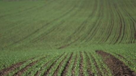 vand teren agricol - Pret | Preturi vand teren agricol