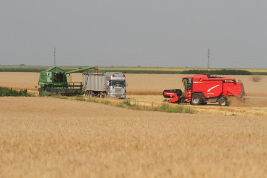 200 Ha arabil langa Autostrada - Pret | Preturi 200 Ha arabil langa Autostrada