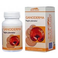 Ganoderma *60cpr - Pret | Preturi Ganoderma *60cpr