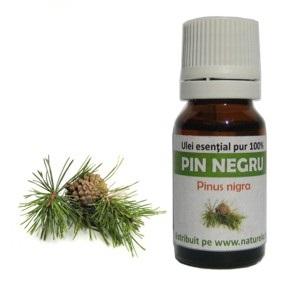 Ulei Esential Pin Negru 10ml - Pret | Preturi Ulei Esential Pin Negru 10ml