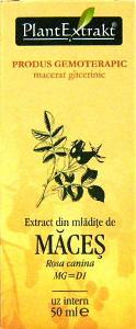 Extract din mladite de maces - Pret | Preturi Extract din mladite de maces