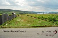 teren Petricani (Neamt) - Pret | Preturi teren Petricani (Neamt)