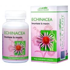 Echinacea *60cpr - Pret | Preturi Echinacea *60cpr