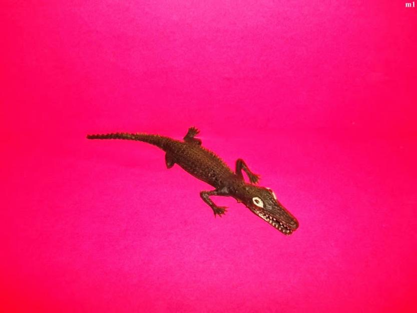 jucarii figurina crocodil din silicon - Pret | Preturi jucarii figurina crocodil din silicon