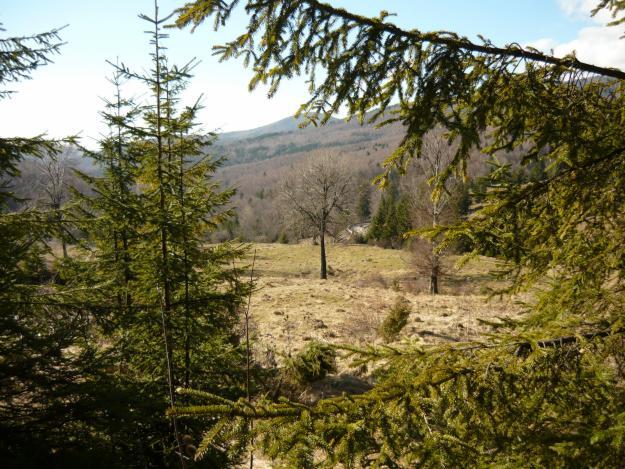 VAND TEREN INTRAVILAN SINAIA COTA 1000 - Pret | Preturi VAND TEREN INTRAVILAN SINAIA COTA 1000