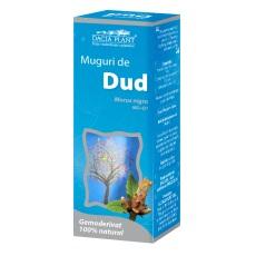 Gemoderivat Muguri de Dud 50ml - Pret | Preturi Gemoderivat Muguri de Dud 50ml