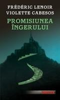 Promisiunea ingerului - Pret | Preturi Promisiunea ingerului