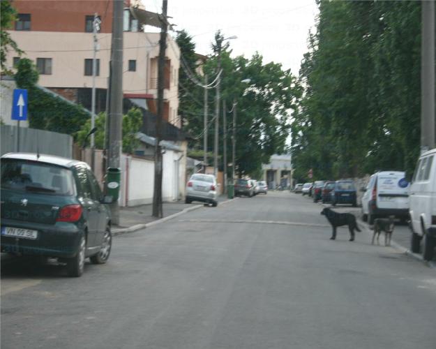 Vanzare teren 1Mai - Pret | Preturi Vanzare teren 1Mai