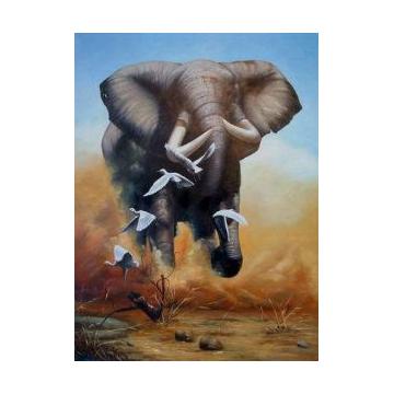 Tablou Elephant - Pret | Preturi Tablou Elephant