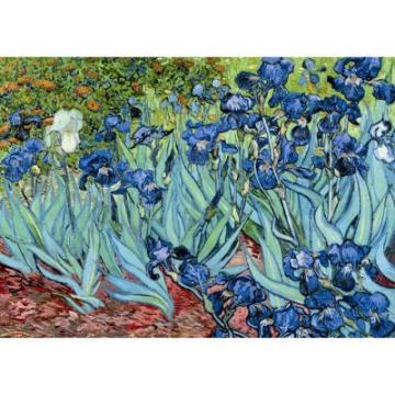 Puzzle Ravensburger 1000 Van Gogh : Iris - Pret | Preturi Puzzle Ravensburger 1000 Van Gogh : Iris
