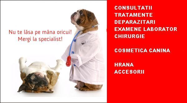 CABINET VETERINAR OTOPENI TUNARI - Pret | Preturi CABINET VETERINAR OTOPENI TUNARI