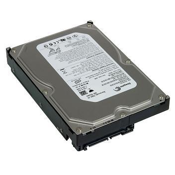Hard Disk Server Seagate Barracuda ES.2 250GB 7200rpm Serial ATA - Pret | Preturi Hard Disk Server Seagate Barracuda ES.2 250GB 7200rpm Serial ATA
