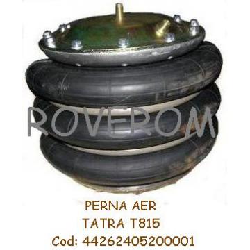 Perna aer Tatra T813; T815 - Pret | Preturi Perna aer Tatra T813; T815