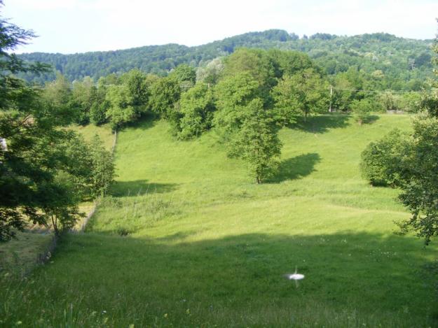 Vand teren intravilan cu izvor natural - Pret | Preturi Vand teren intravilan cu izvor natural