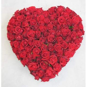 Trandafiri rosii tip Inima - Pret | Preturi Trandafiri rosii tip Inima