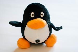 Camera Web Pinguin Pengu - Pret | Preturi Camera Web Pinguin Pengu