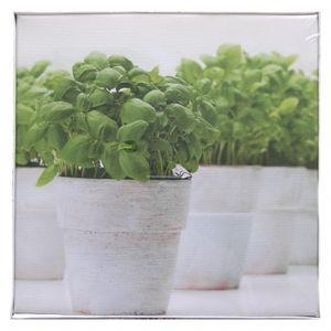 Tablou bucatarie 25x25 cm - Pret | Preturi Tablou bucatarie 25x25 cm