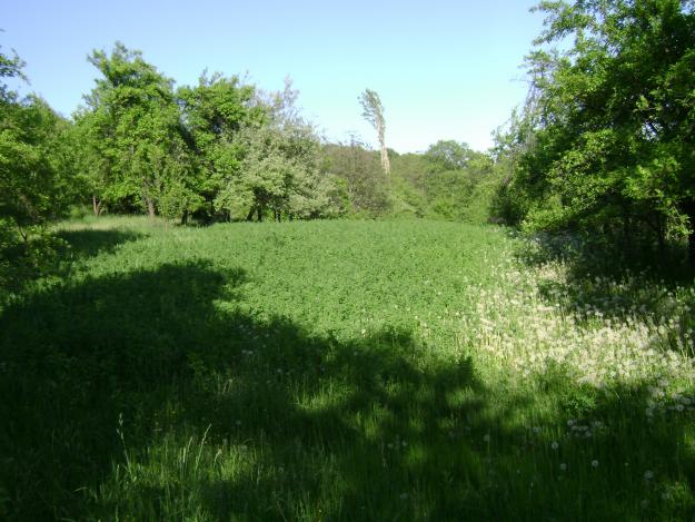 VAND TEREN in JUD VALCEA,intre localitatiile RM VALCEA SI BAILE OLANESTI - Pret | Preturi VAND TEREN in JUD VALCEA,intre localitatiile RM VALCEA SI BAILE OLANESTI