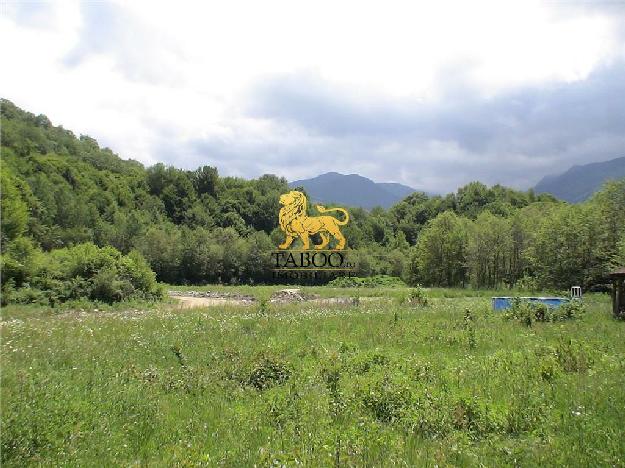 Teren cu suprafata de 6000 mp de vanzare in Sibiu zona Arpasu de Sus - Pret | Preturi Teren cu suprafata de 6000 mp de vanzare in Sibiu zona Arpasu de Sus