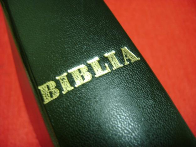 Biblia ortodoxa, format mare-a4 - Pret | Preturi Biblia ortodoxa, format mare-a4