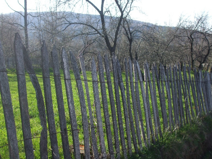 Teren Intravilan de Vanzare in Comarnic , zona Poiana - Pret | Preturi Teren Intravilan de Vanzare in Comarnic , zona Poiana